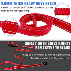 Heydoggy traffic-control leash with short handle aids near-crowd control.
