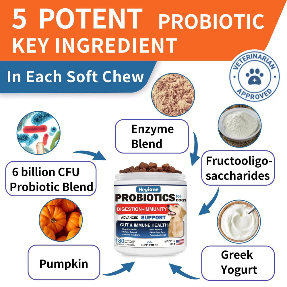 HEYISME Probiotics for Dogs yeast balance concept image suggesting skin comfort support.