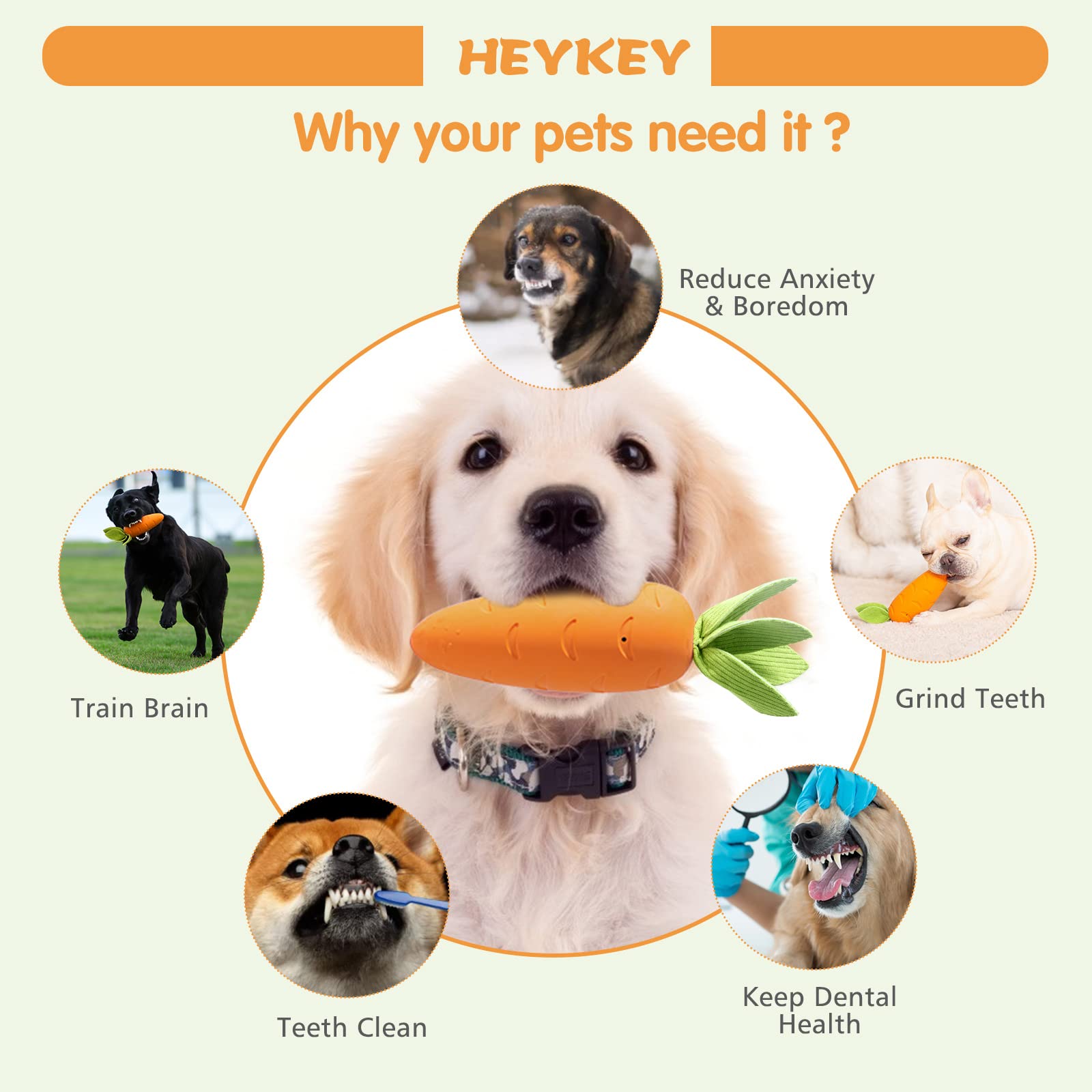 HEYKEY carrot leaf toy designed to aid teeth cleaning during chewing.