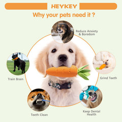 HEYKEY carrot leaf toy designed to aid teeth cleaning during chewing.