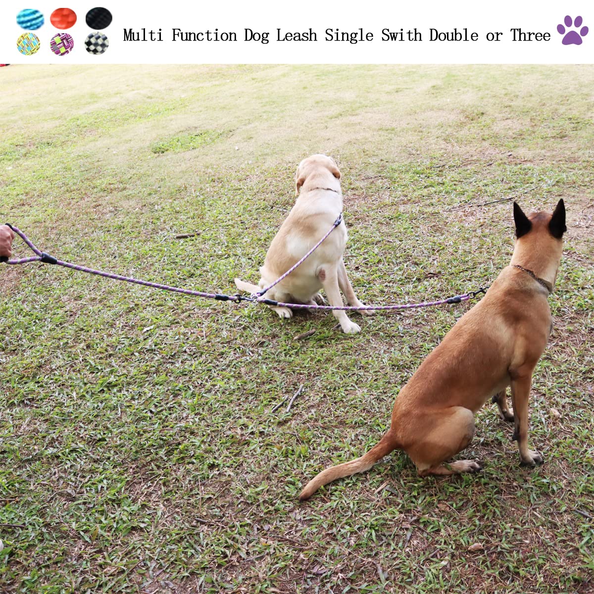 Heyllou leash supports 33–132 lb dogs for versatile use.