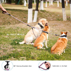 Heyllou three-way coupler enables multi-dog walking configurations.