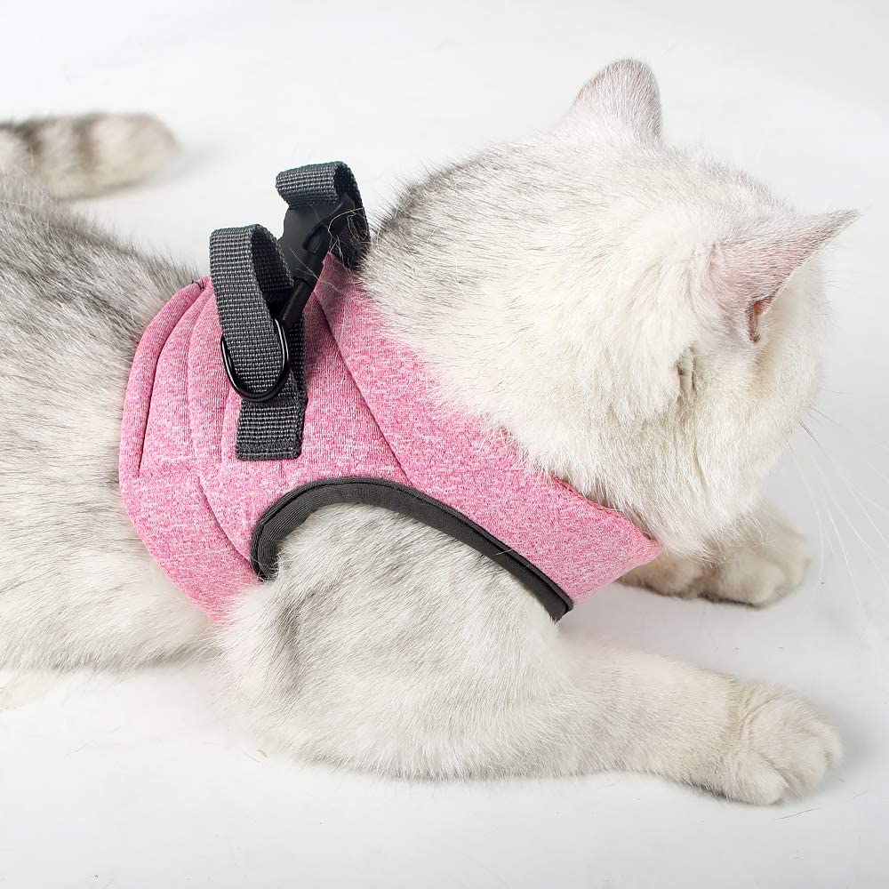 HEYWEAN dry, moisture-wicking material keeps your cat comfortable.