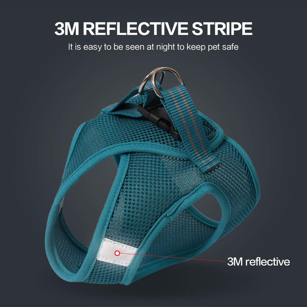 HEYWEAN harness size-chart ensures proper fit across XS to L for kittens and small cats.