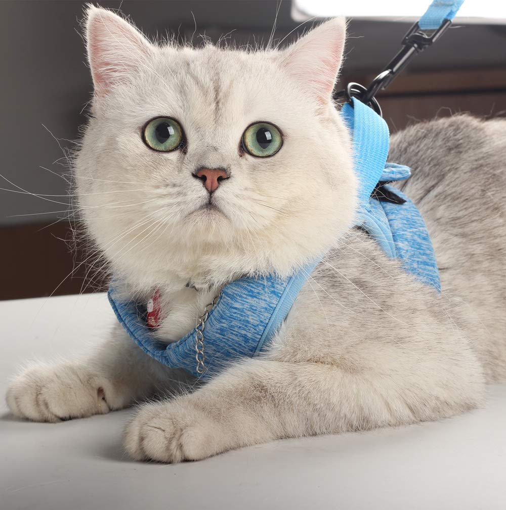 HEYWEAN size chart guides safe fitting for small to large pets.