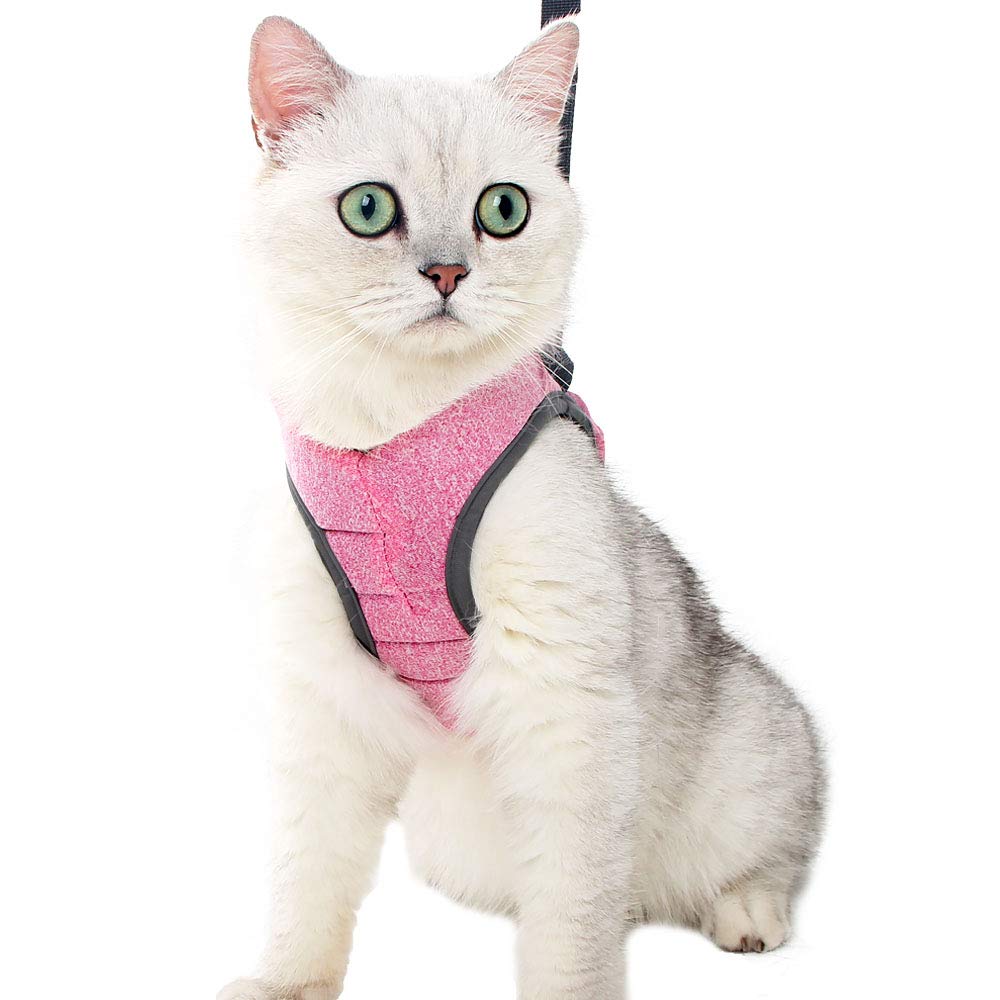 HEYWEAN size chart ensures proper fit for kittens to small dogs.