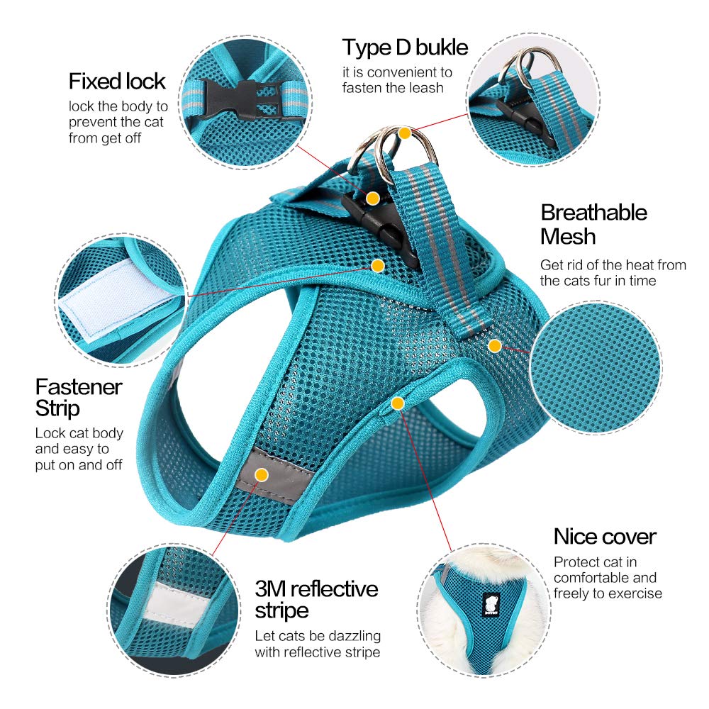 HEYWEAN harness soft-cushioning delivers gentle comfort during walks.