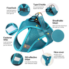 HEYWEAN harness soft-cushioning delivers gentle comfort during walks.
