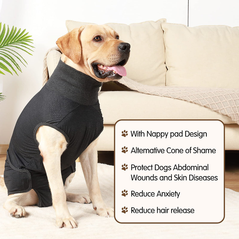 HEYWEAN belly-pocket diaper shows convenient diaper placement and hygiene.