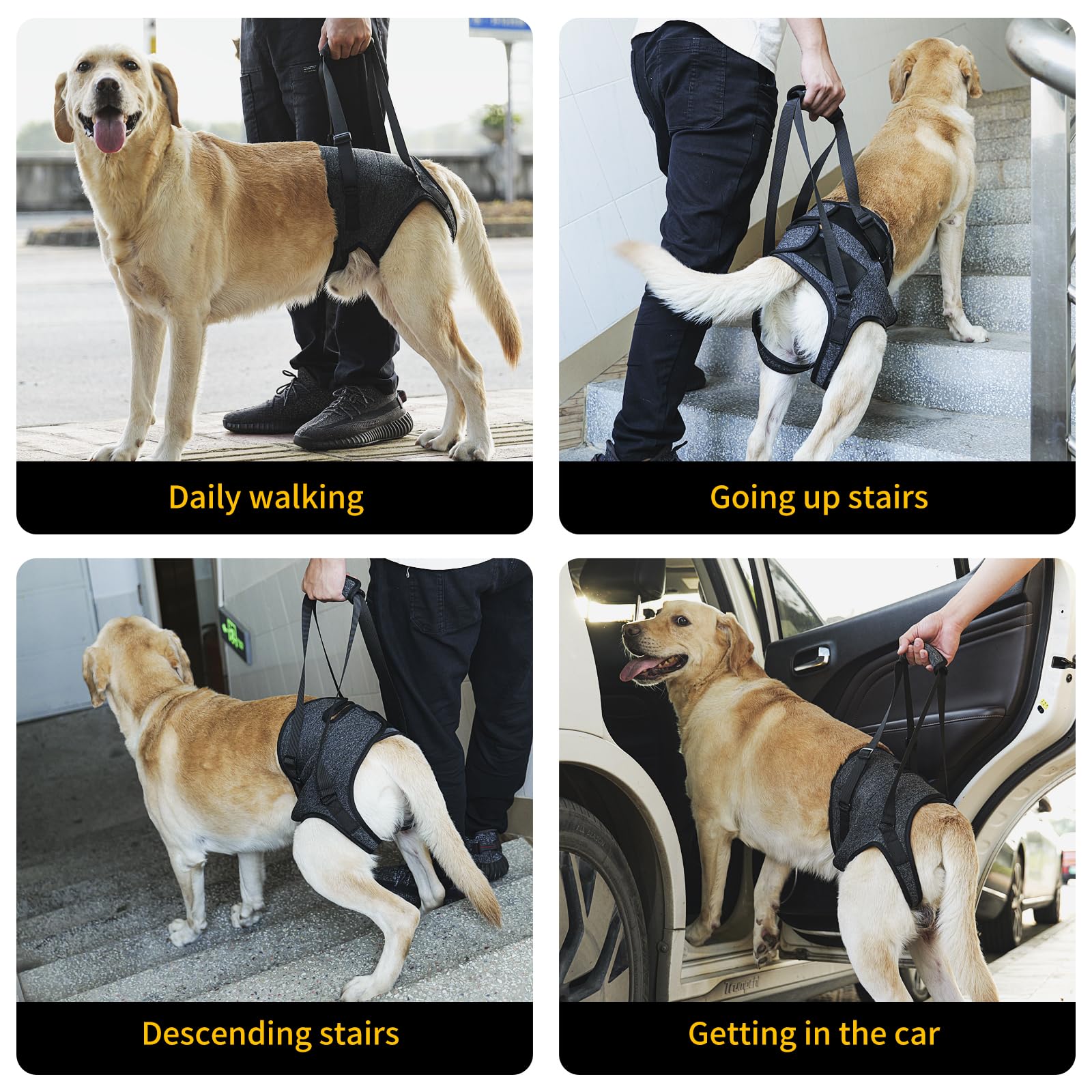 HEYWEAN dog sling car-ride use demonstrates stable support during vehicle transfers