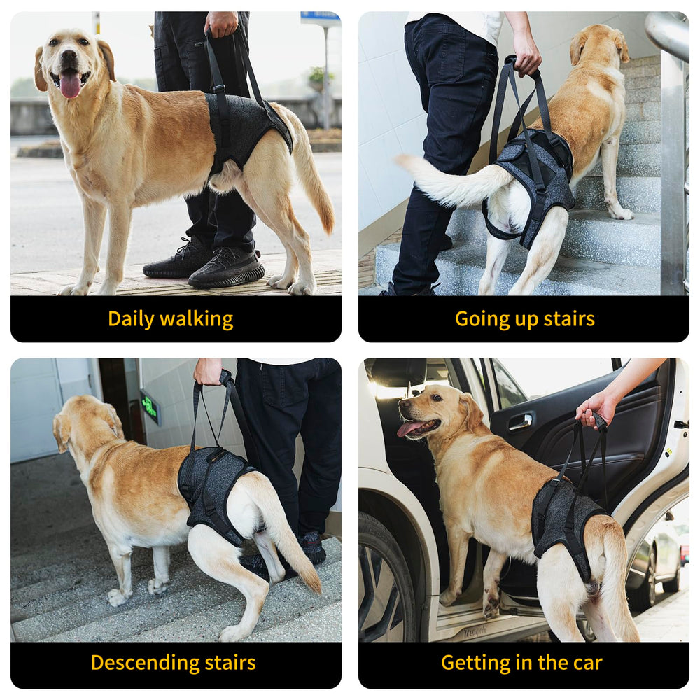 HEYWEAN dog sling car-ride use demonstrates stable support during vehicle transfers