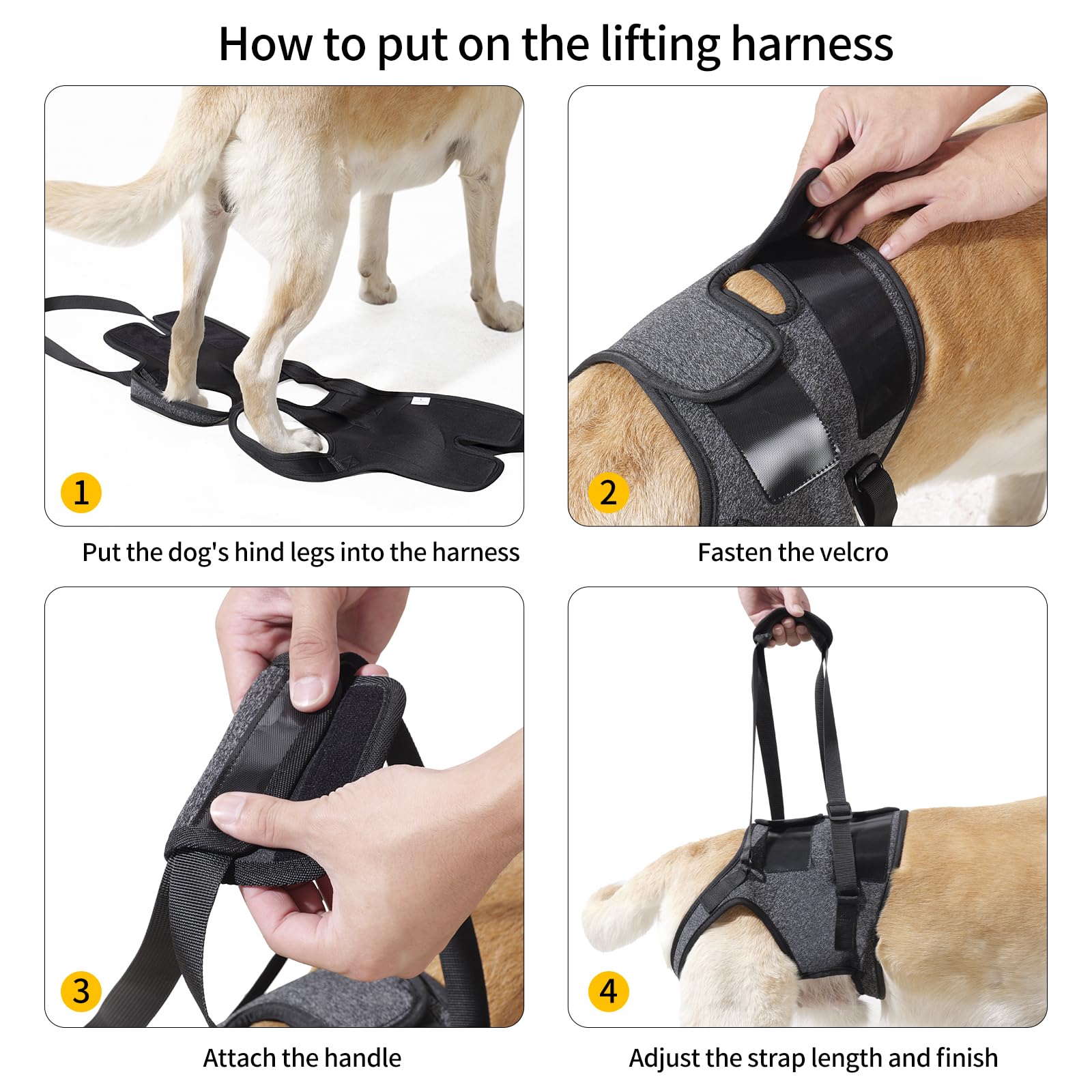 HEYWEAN dog sling rear leg holes and wide hip Velcro ensure a secure, slip-free fit