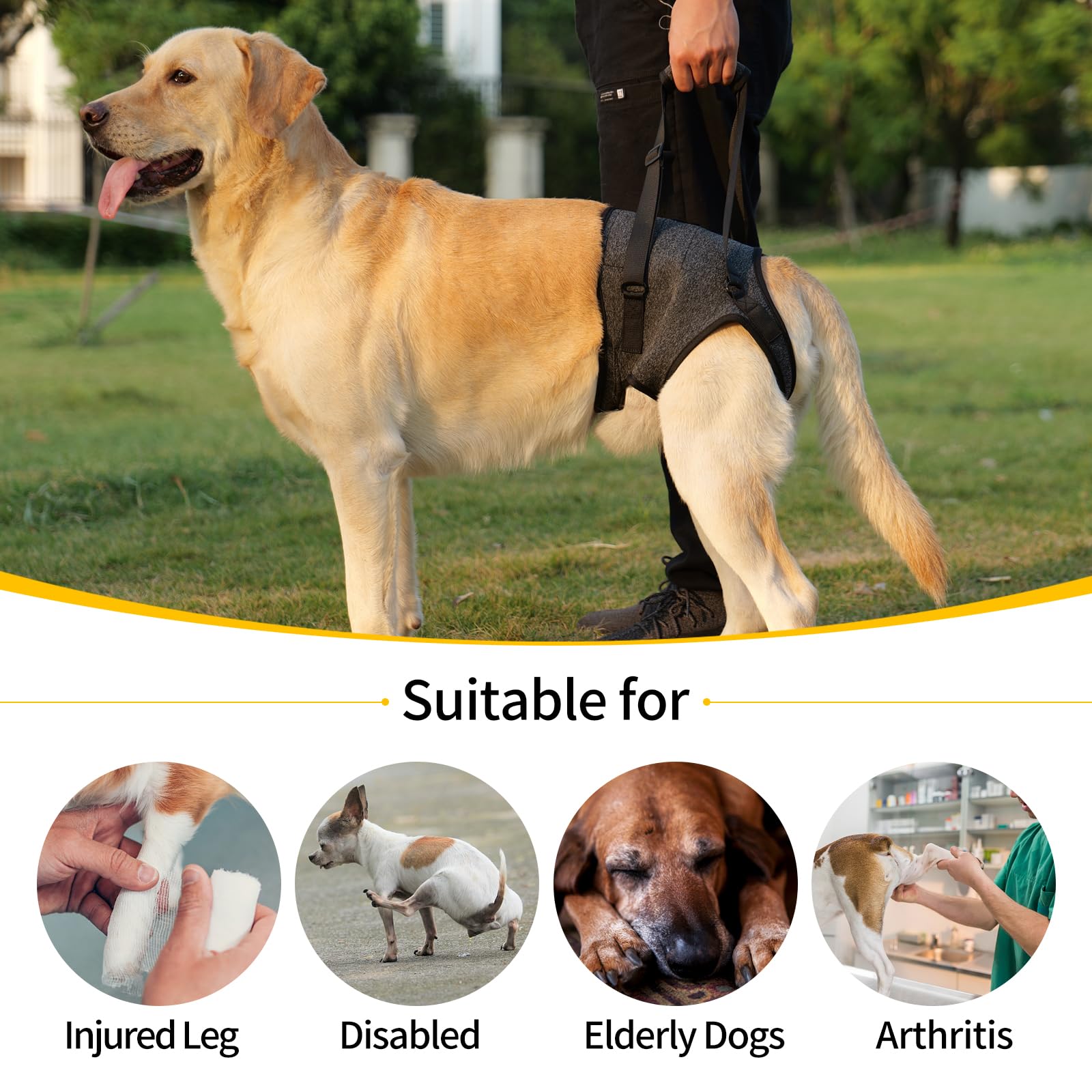 HEYWEAN Dog Sling rear-leg holes and widened velcro keep it secure.
