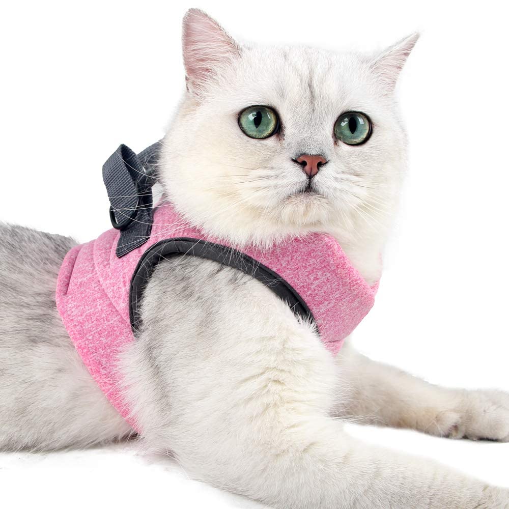 HEYWEAN arnés ligero para gato, garantiza libertad de movimiento.