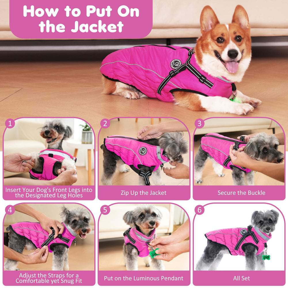 HezzLuv waterproof dog coat ready for all-season outdoor adventures.