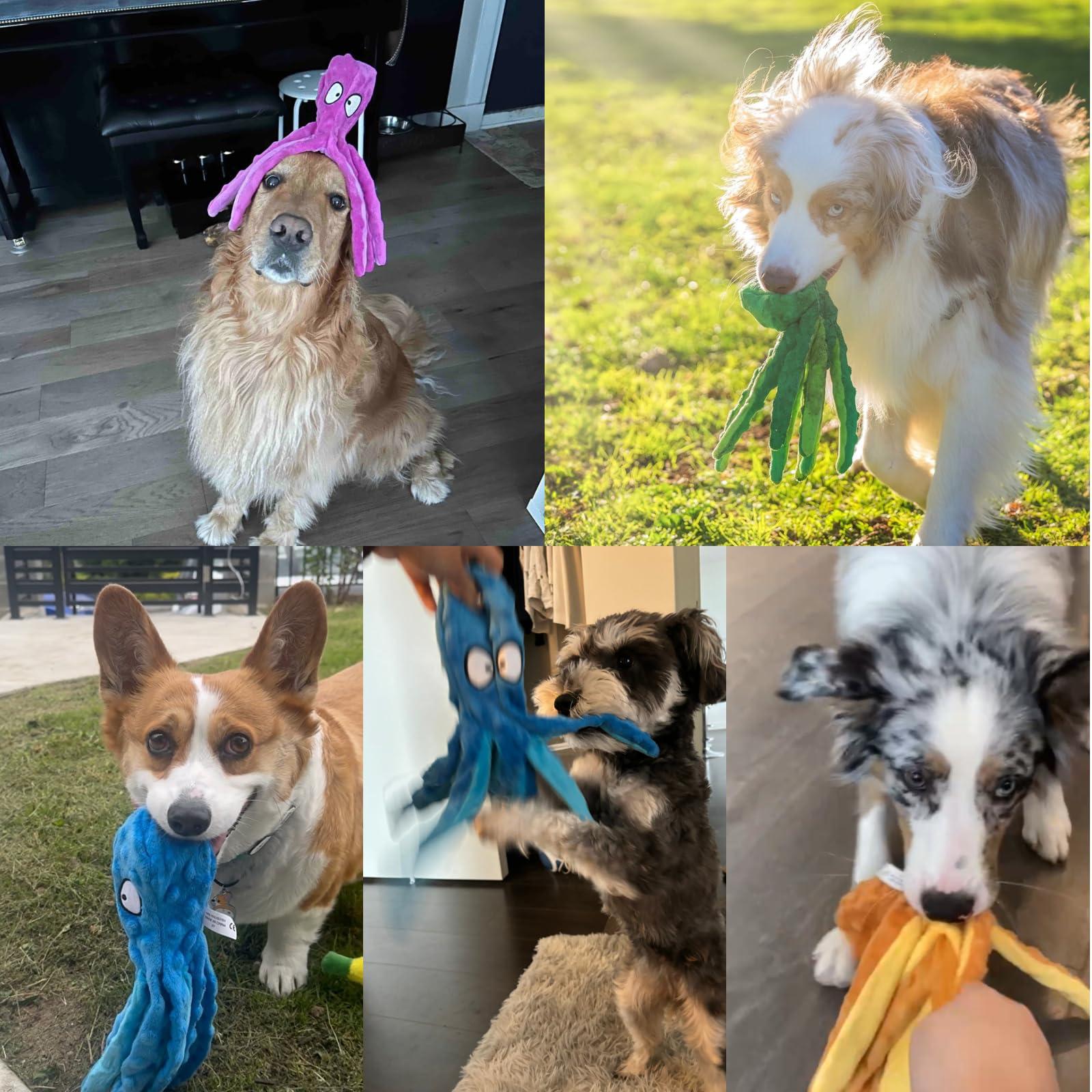 HGB Interactive teething toy helps keep teeth and gums active.