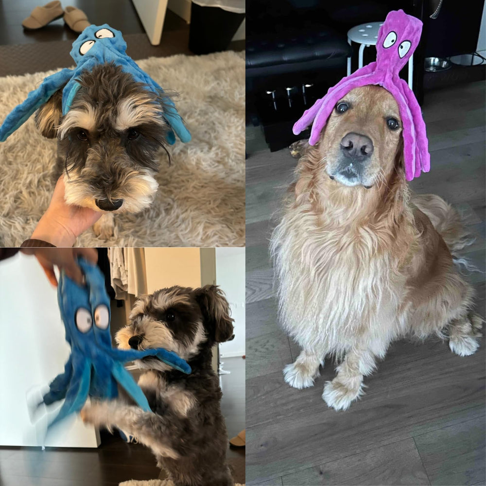 HGB multi-size dog toy suitable for small to large breeds