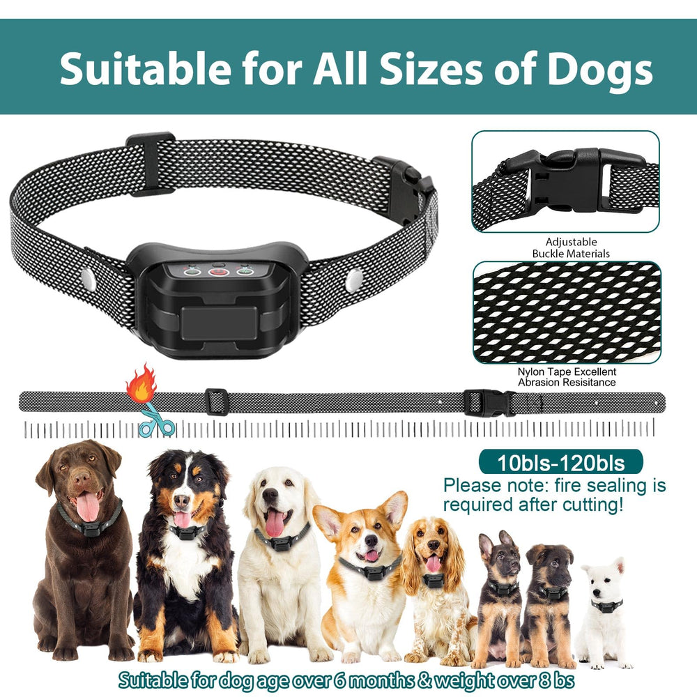 Adjustable HGFLMR citronella collar strap fits various dog sizes