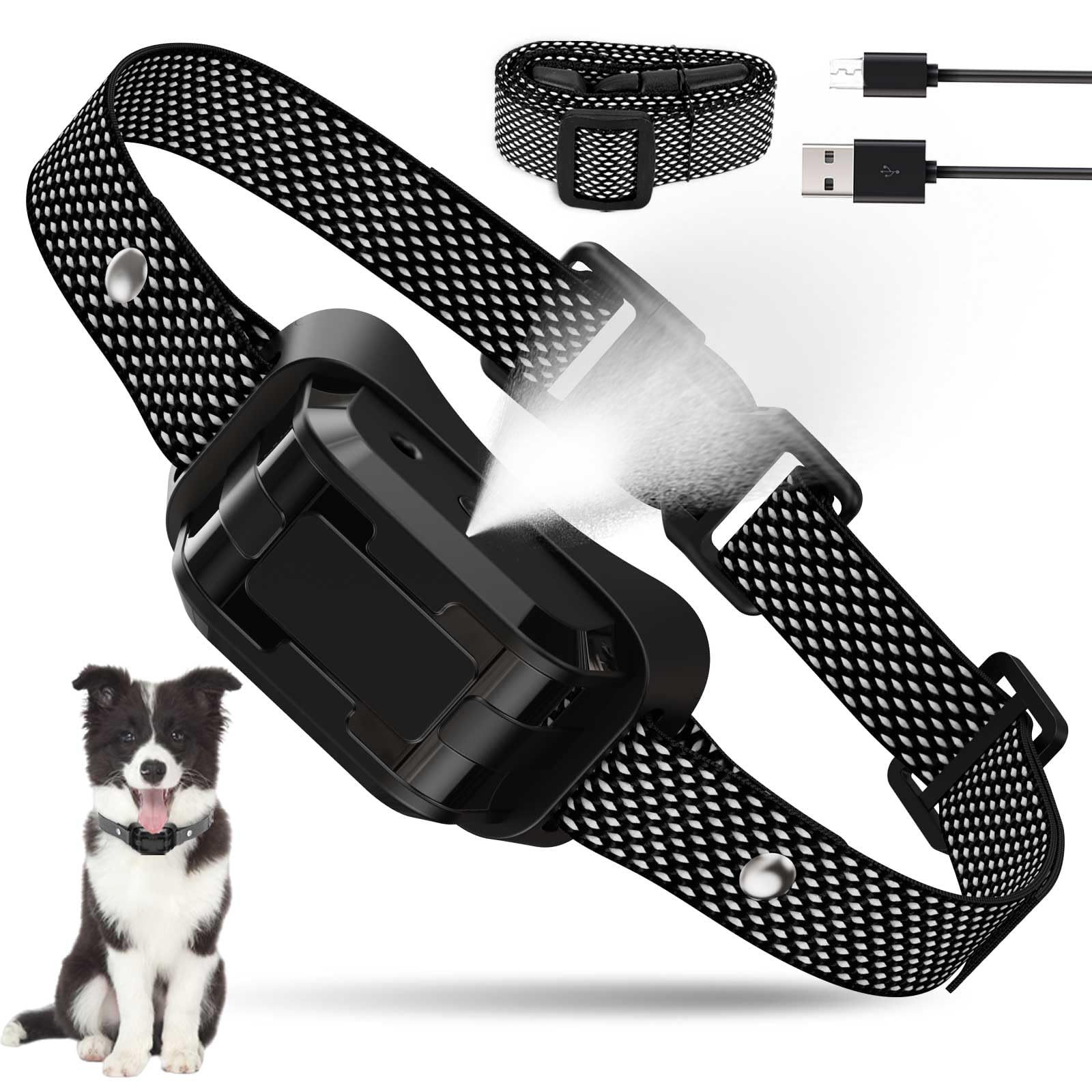 HGFLMR citronella bark collar on a dog during training for quieter outdoor outings