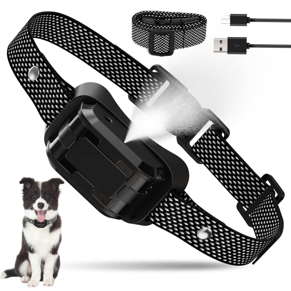 HGFLMR citronella bark collar on a dog during training for quieter outdoor outings