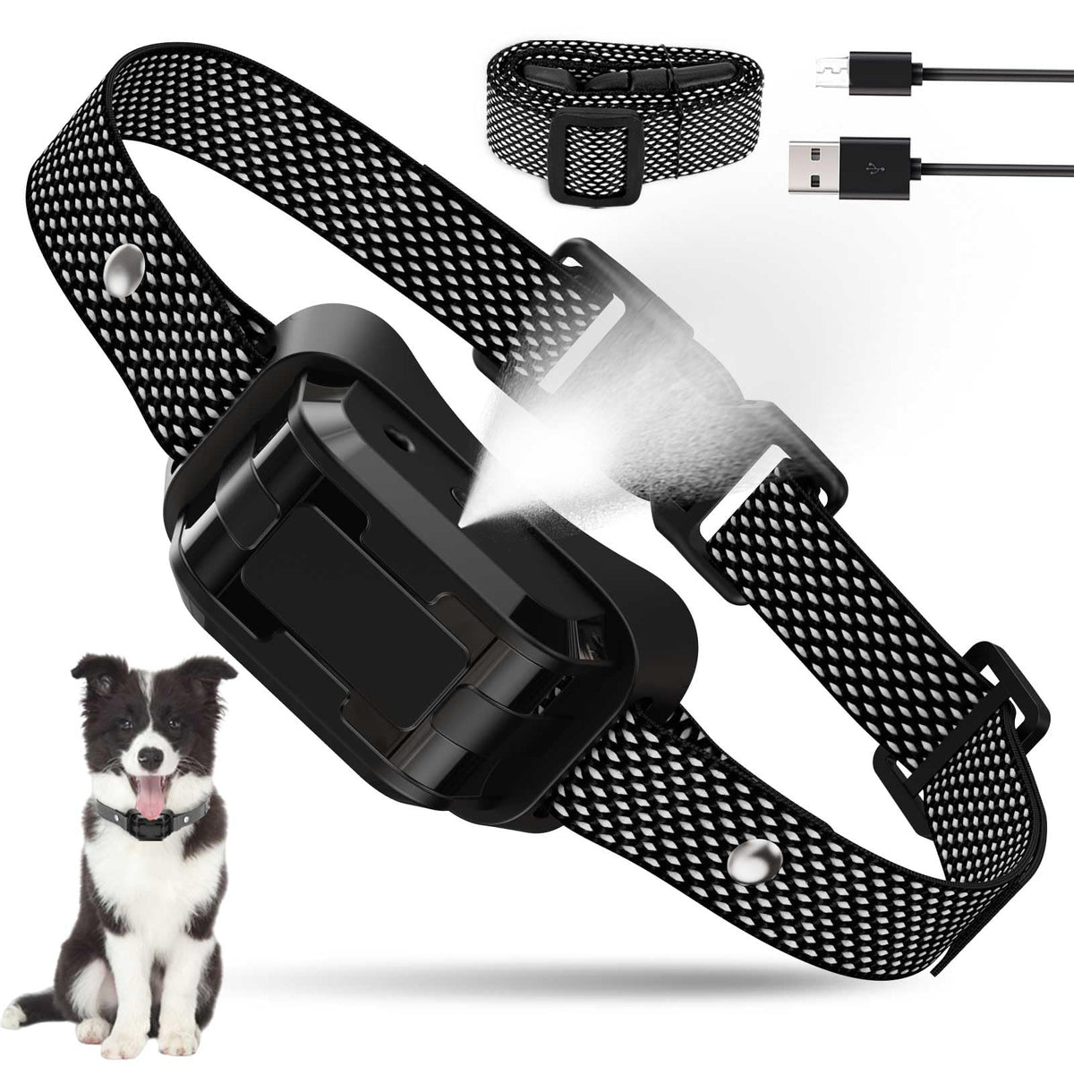 HGFLMR citronella bark collar on a dog during training for quieter outdoor outings