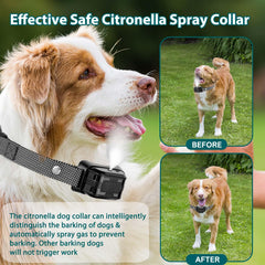 HGFLMR citronella bark collar shows spray action for humane bark control