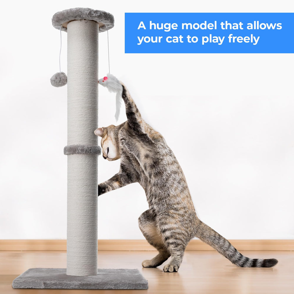 HHZZMIAO two hanging-ball toys encourage interactive, engaging feline play.