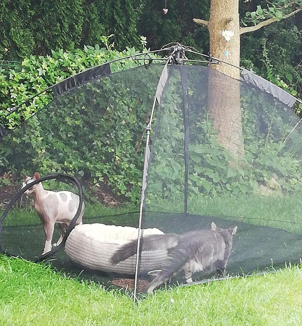 HI SUYI cat tent with four pegs for secure outdoor placement