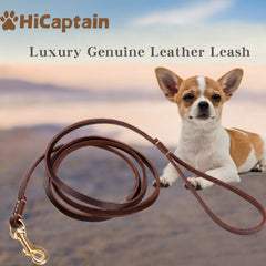 HiCaptain thin leather dog leash 6ft handle, showcasing a comfortable grip for small dogs.