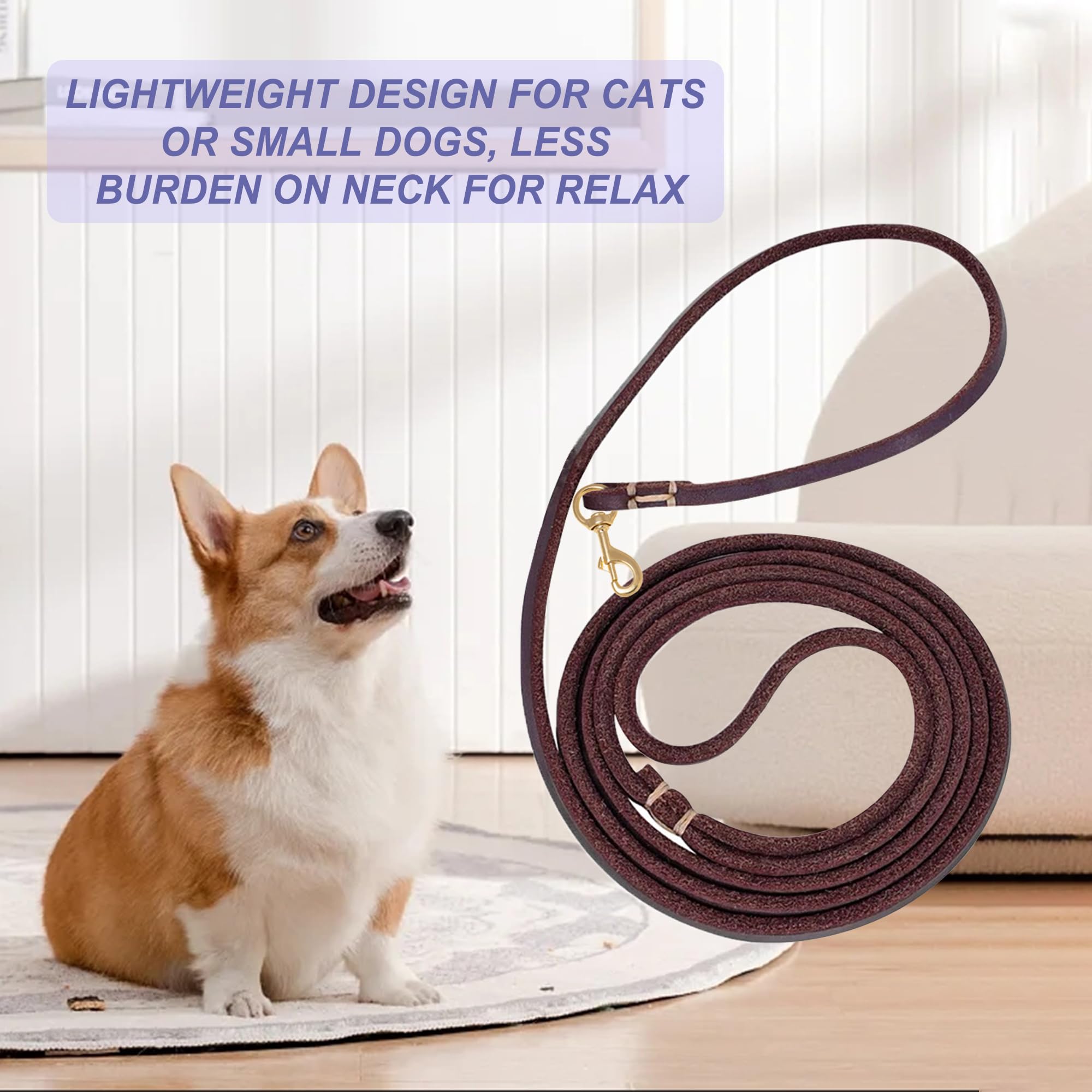 HiCaptain leash clips to car seat belt for safe in-car adventures.