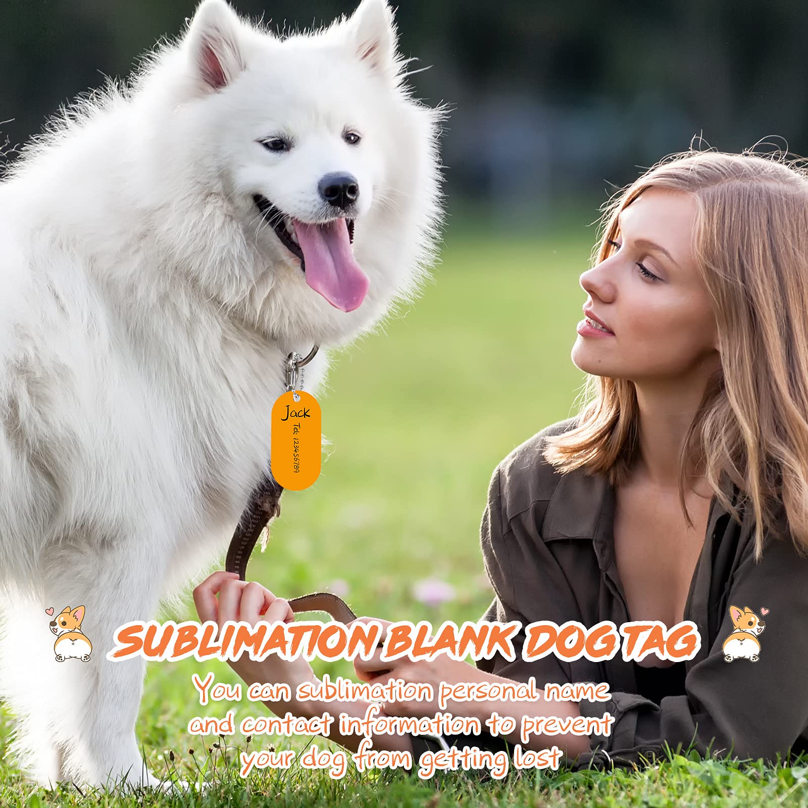 Hicarer packaged set displays complete sublimation kit for pet projects.