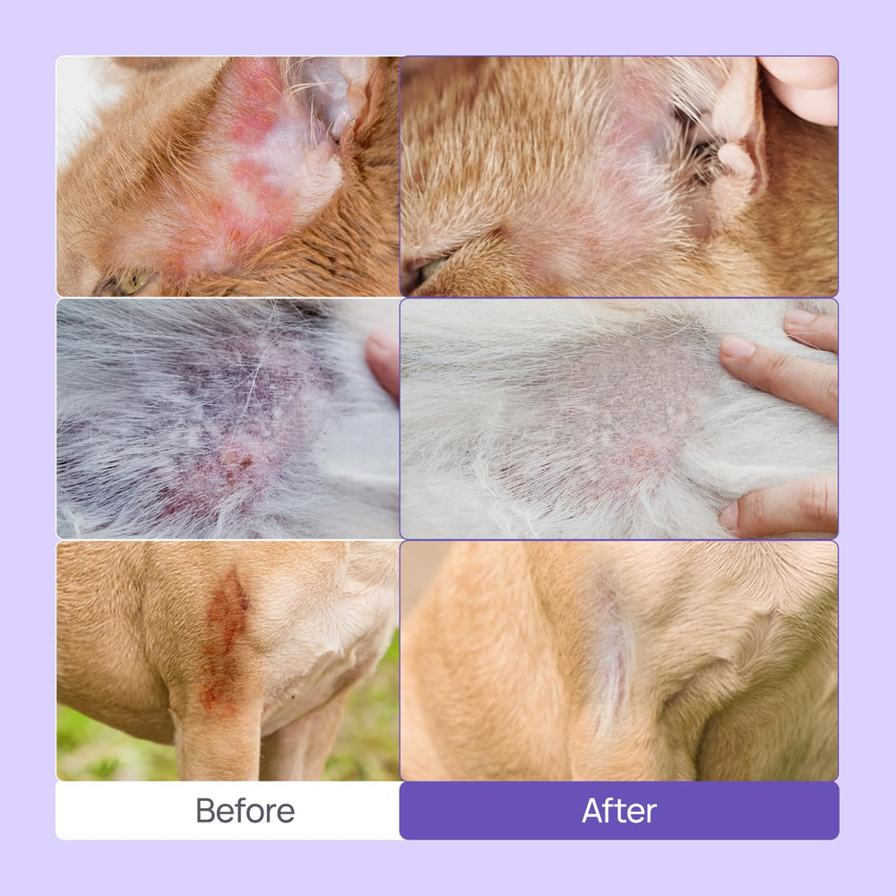 HICC PET cat hot spot relief spray applied to irritated skin