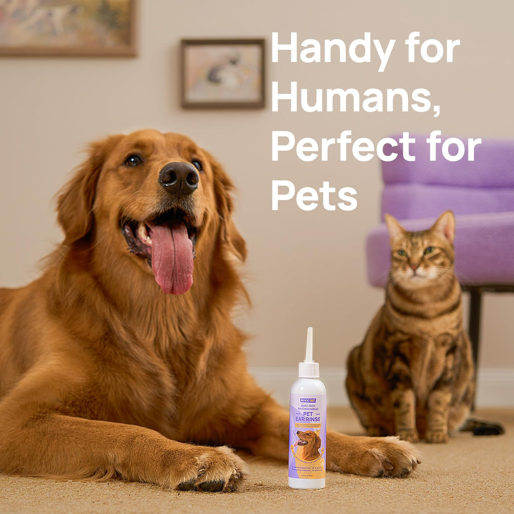 HICC PET debris dissolution action highlights thorough wax removal