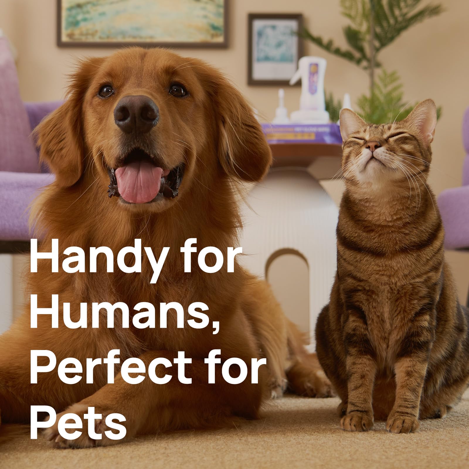 HICC PET home-use hot spot treatment for dogs and cats
