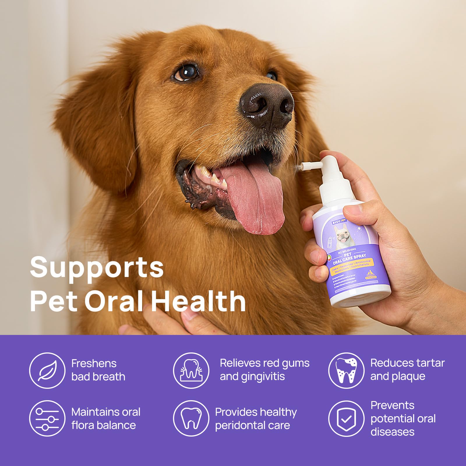 HICC PET Dog Dental Care Spray applies along the gumline for targeted gum care.
