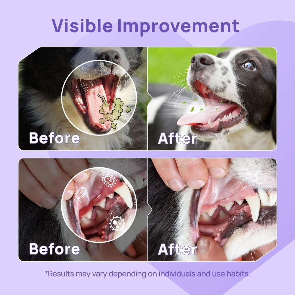 HICC PET Dog Dental Care Spray delivers fresh breath after each use.