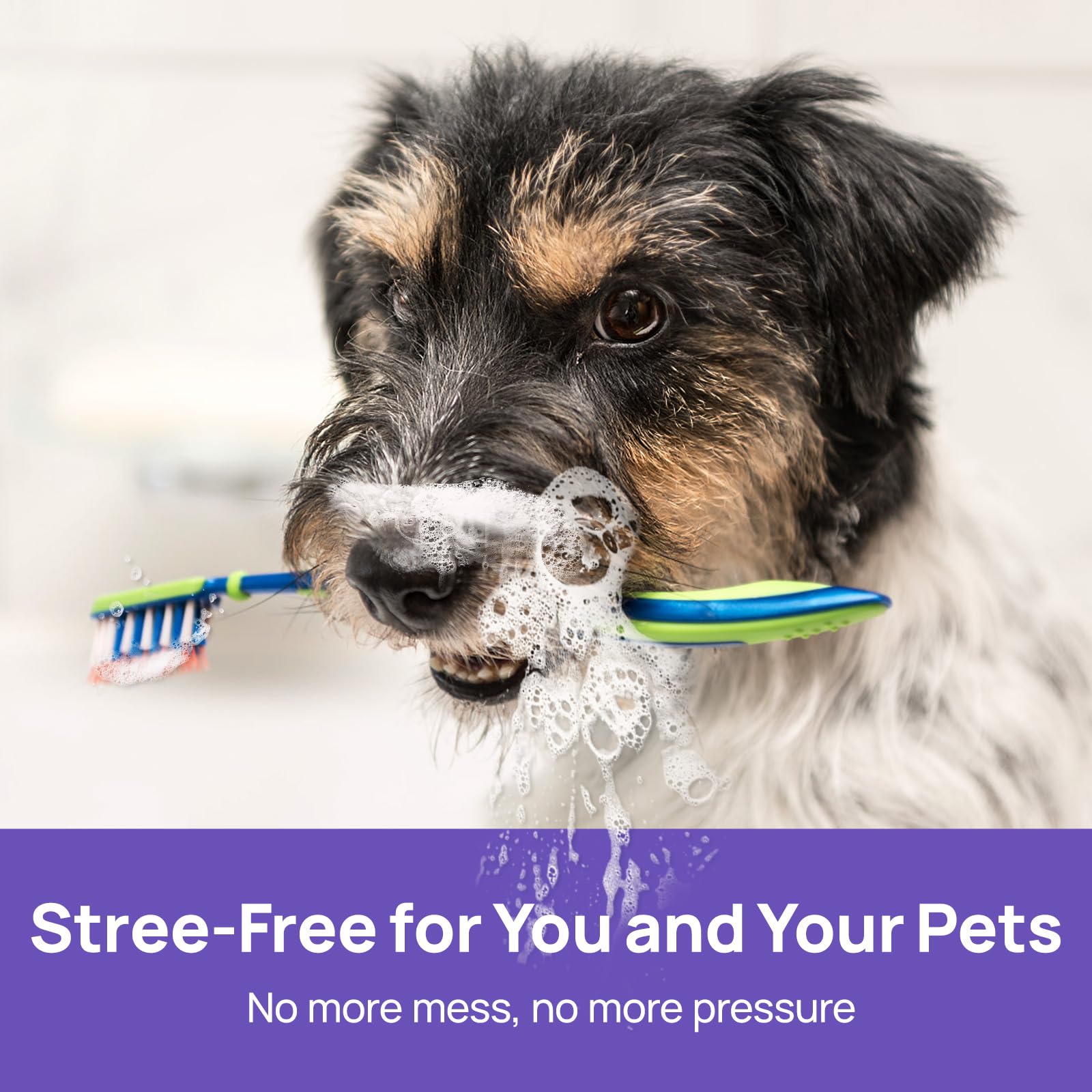 HICC PET travel-friendly bottle supports on-the-go dental care.
