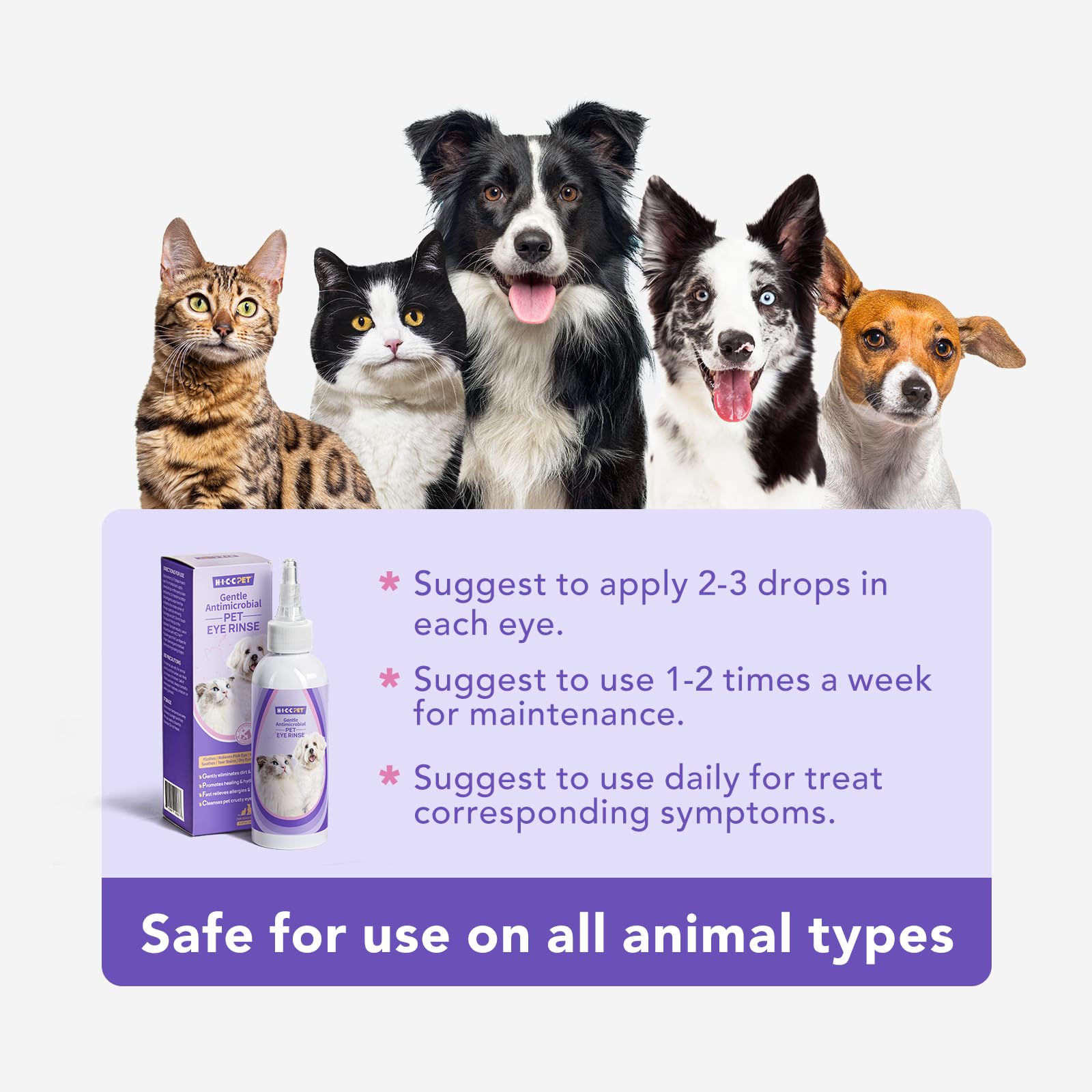 HICC PET dog eye closeup highlights gentle HOCl formula.