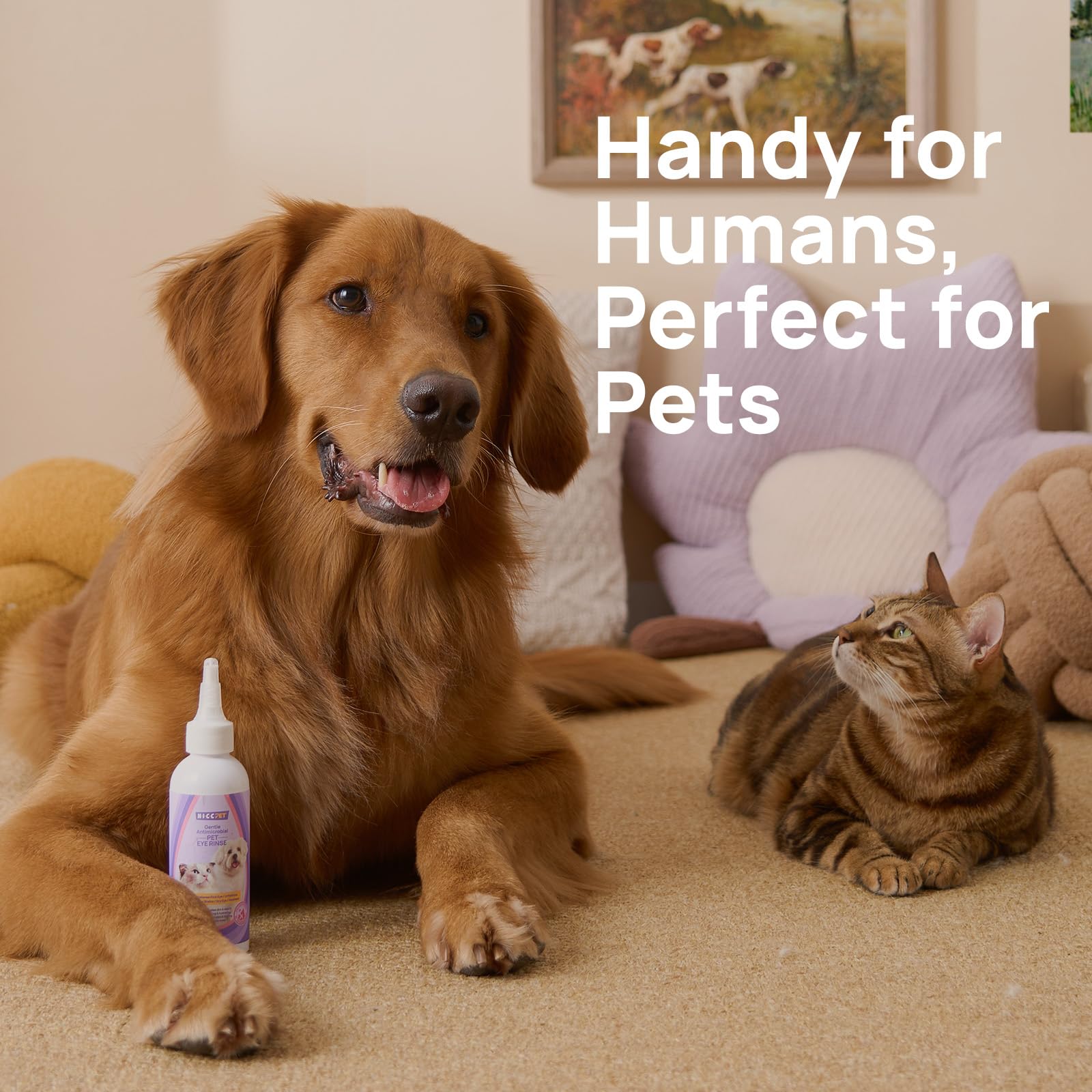 HICC PET dog eye drops HOCl technology bottle signals veterinarian-grade care.