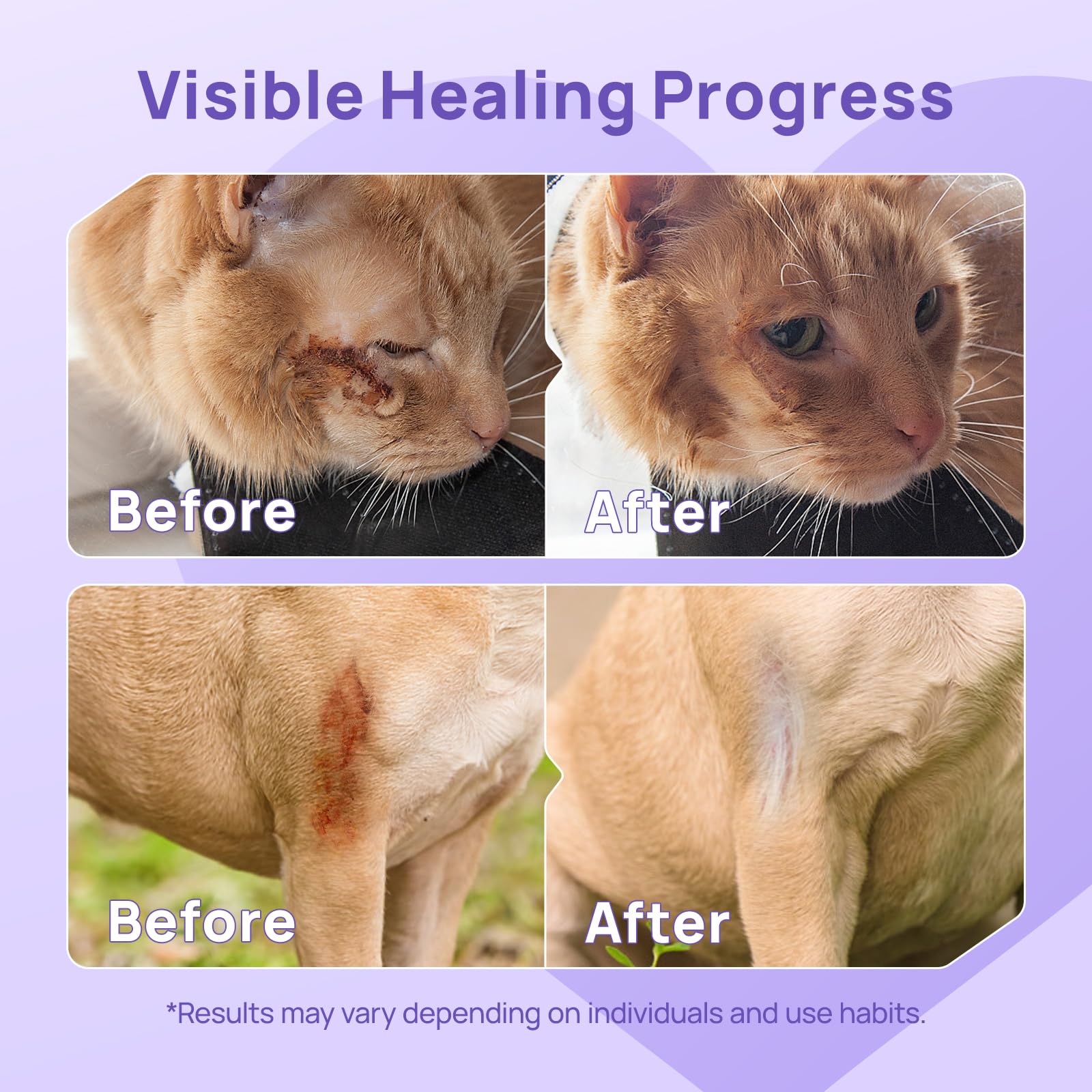 HICC PET close-up during hot spot treatment on a dog