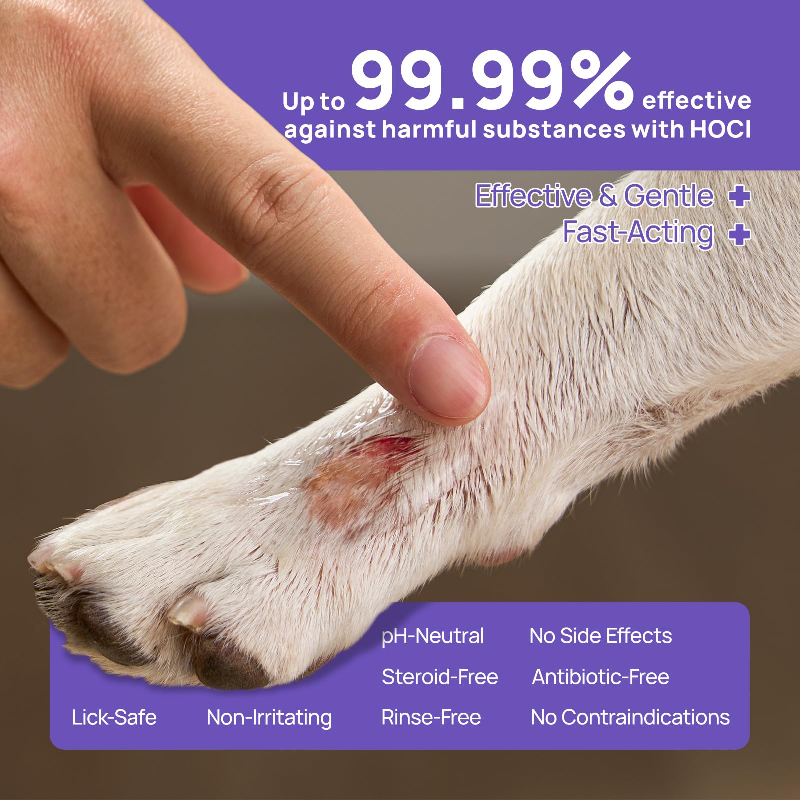 HICC PET hydro gel applied to a dog's wound area on fur