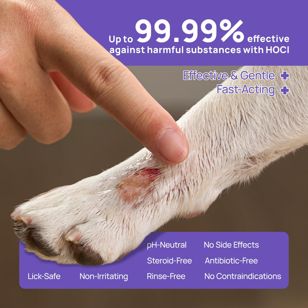 HICC PET hydro gel applied to a dog's wound area on fur