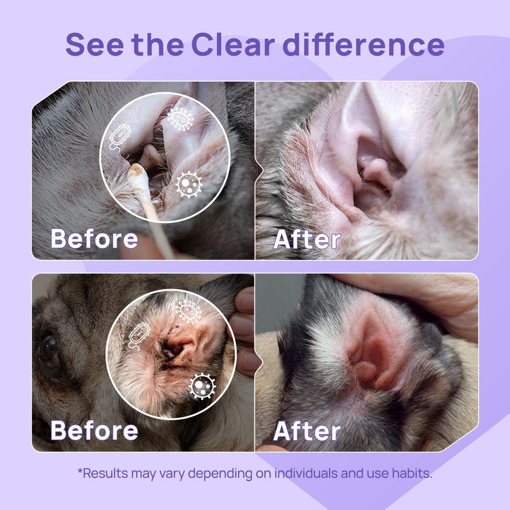 HICC PET compact 4oz packaging designed for home ear care