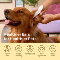 HICC PET Ear Cleaner Finger Wipes texture detail highlights dual-sided cleaning design