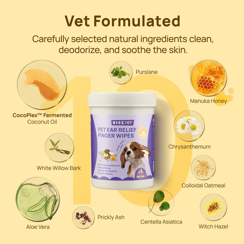 HICC PET Ear Cleaner Wipes with dog usage demonstrates practical ear care.