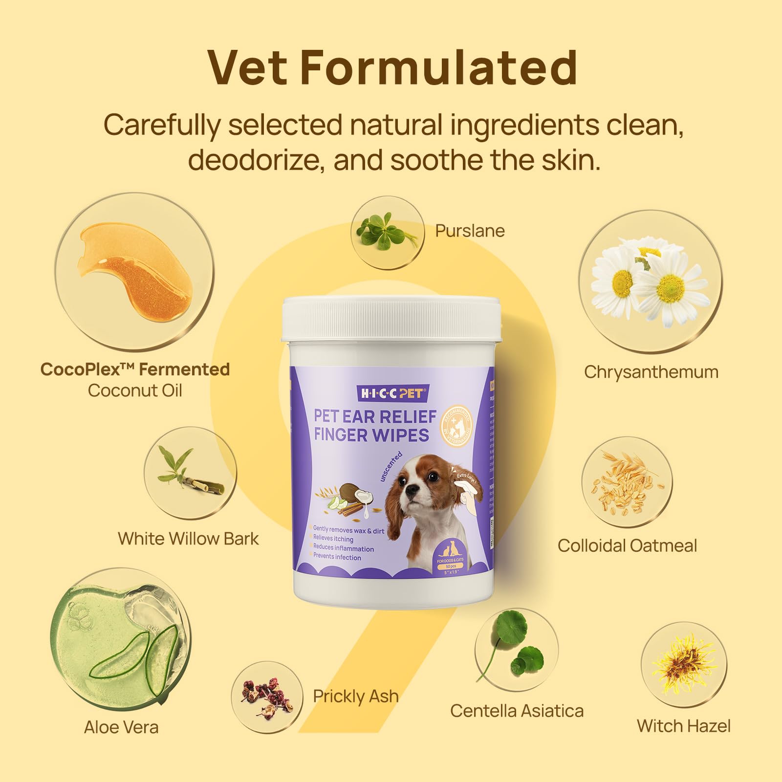 HICC PET Ear Wipes on cat ear care routine