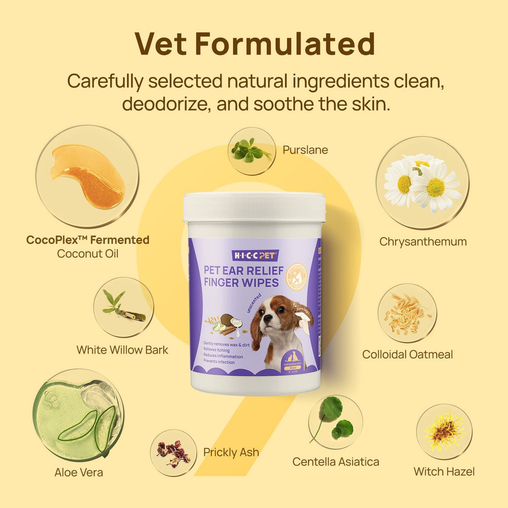 HICC PET Ear Wipes on cat ear care routine