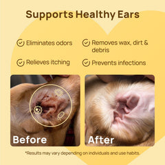 HICC PET Ear Wipes on dog ear care routine
