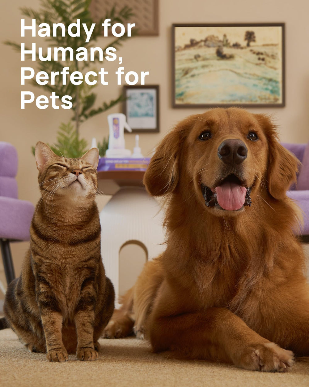 HICC PET Eyes Wipes 100-piece count for long-term use.