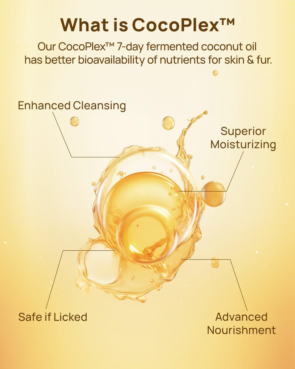 HICC PET Eyes Wipes used on a cat's eye area for cleansing and moisture